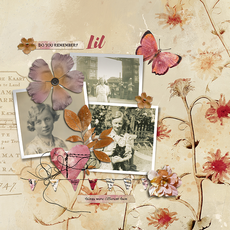 Bittersweet Collection - Image 3