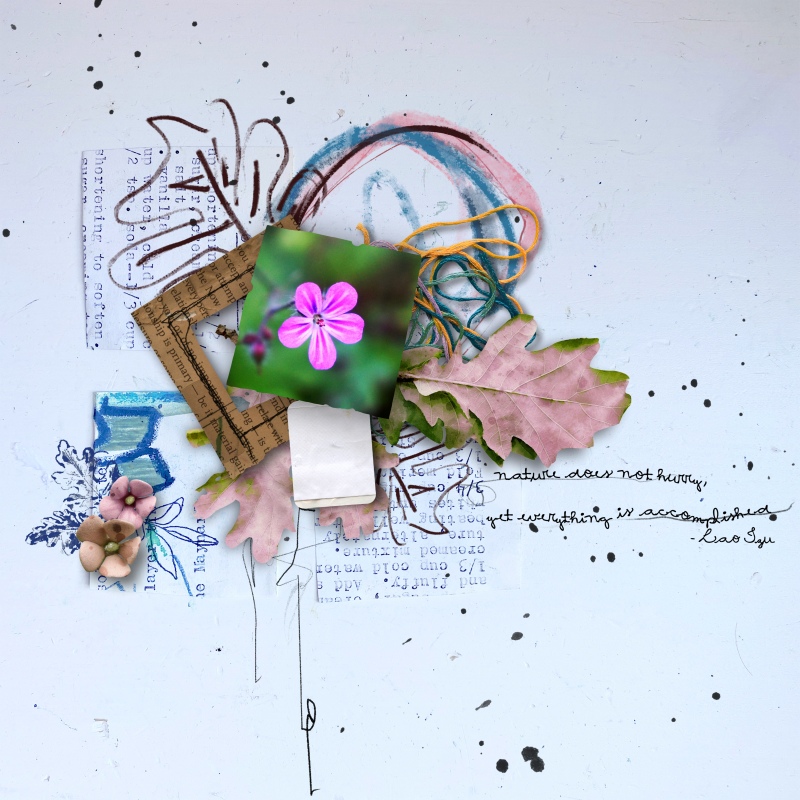 Quercus: The Complete Mixed Media Collection - Image 4