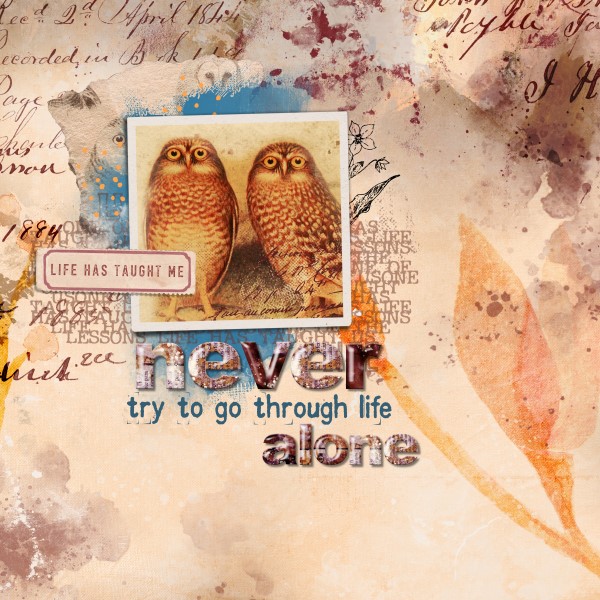 Wise Owl Paint - Image 5