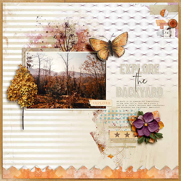 I Wander Kit - Image 6
