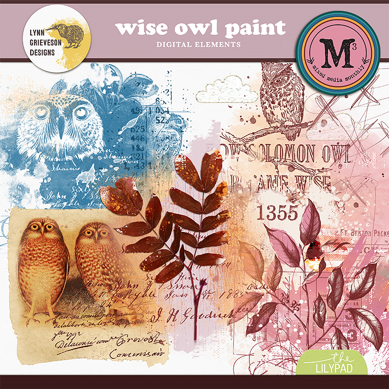 Wise Owl Paint