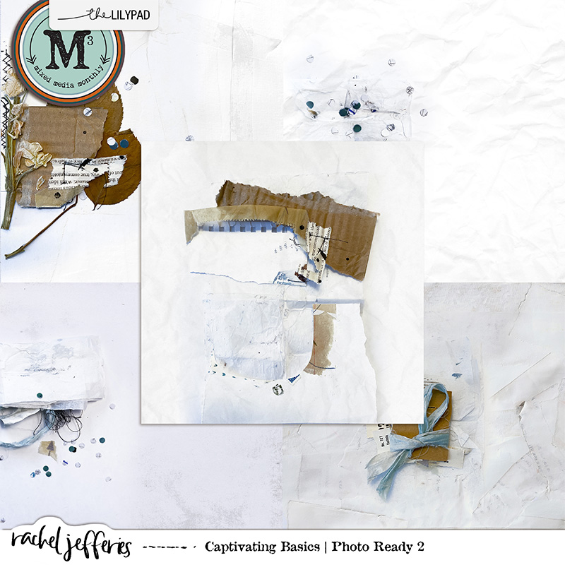Captivating Basics | Photo Ready 2