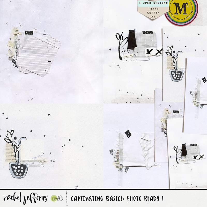 Captivating Basics : Photo Ready 1