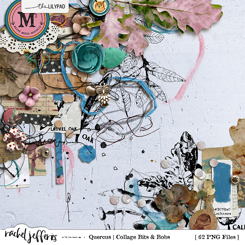 Quercus: Collage Bits & Bobs