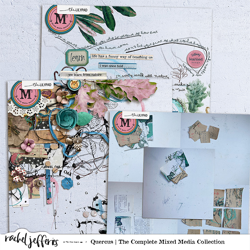 Quercus: The Complete Mixed Media Collection