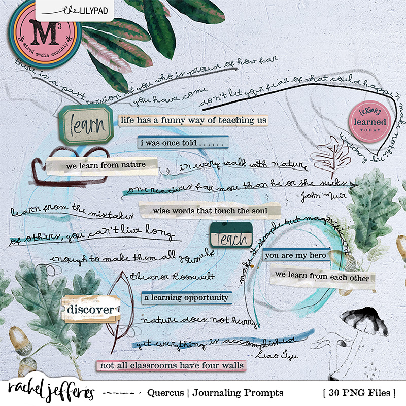 Quercus: Journaling Prompts