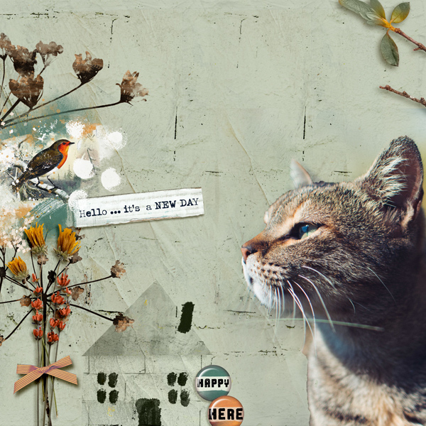 Wake Up Happy Bundle - Image 10