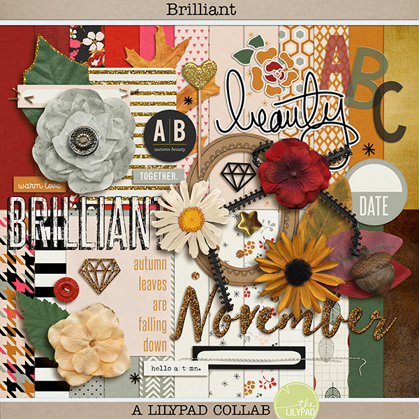 A Lilypad COLLAB: Brilliant