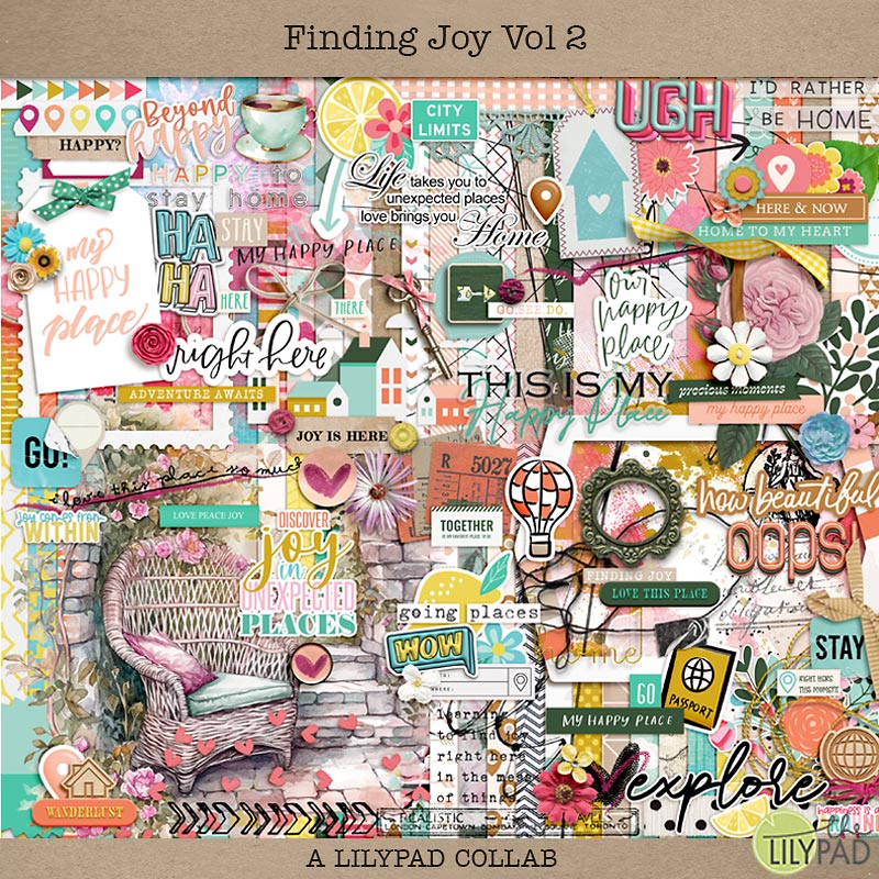 COLLAB: Finding Joy: In the Places