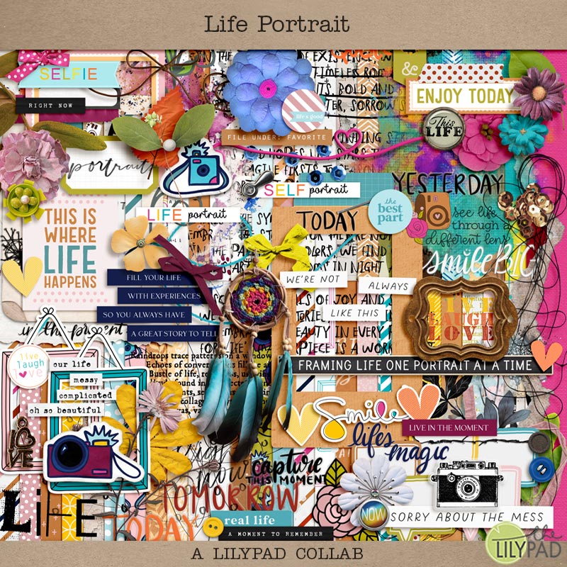 COLLAB: Life Portrait