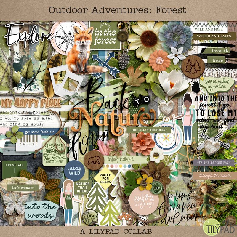 COLLAB: Outdoor Adventures: Forest