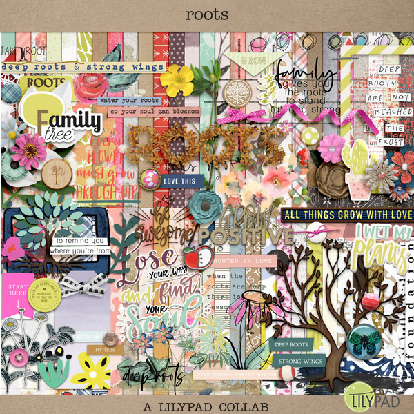Roots: by the Lilypad Designers