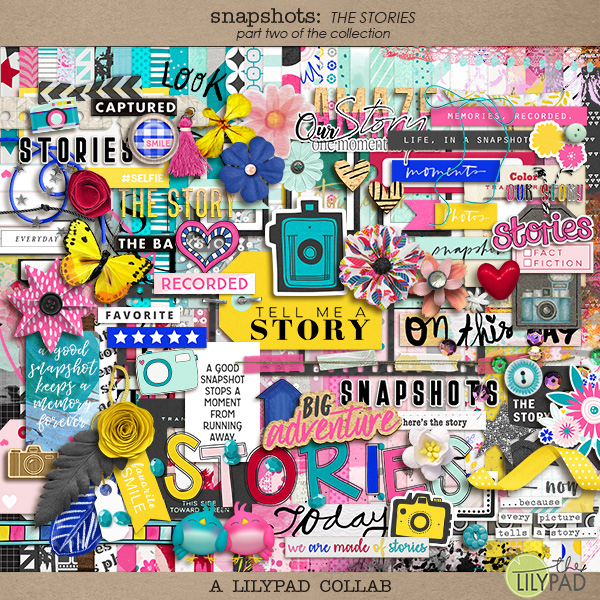 Snapshots: part two {the stories}