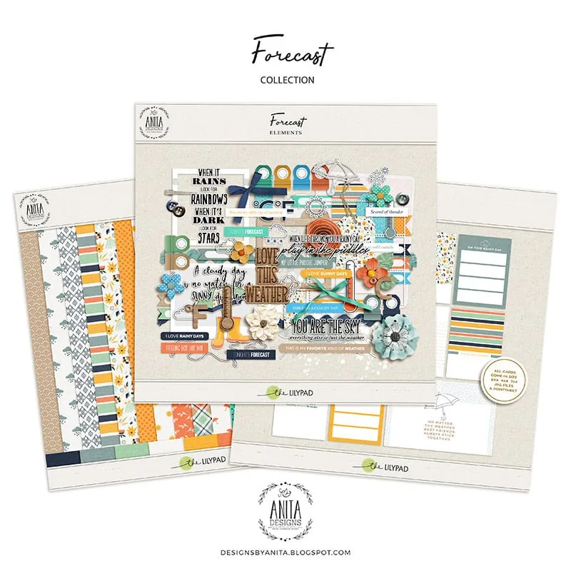 Forecast | Collection