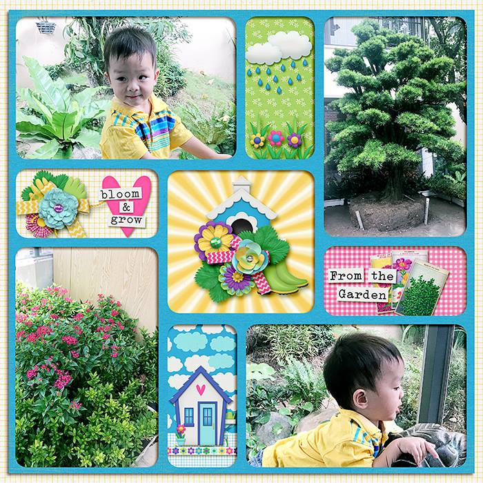 Spring in the Garden - Image 2