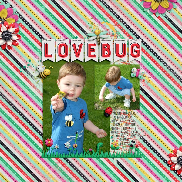 Love Bugs - Image 4