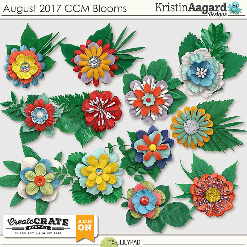 August 2017 CCM Blooms - Image 2