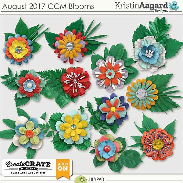 August 2017 CCM Blooms