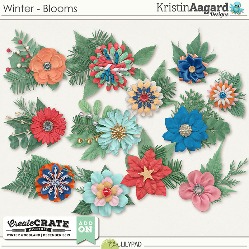Winter - Blooms