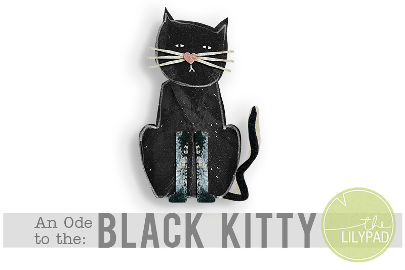 Illustrated black cat with a pink heart-shaped nose and white whiskers, with the text “An Ode to the: Black Kitty” and The Lilypad logo.