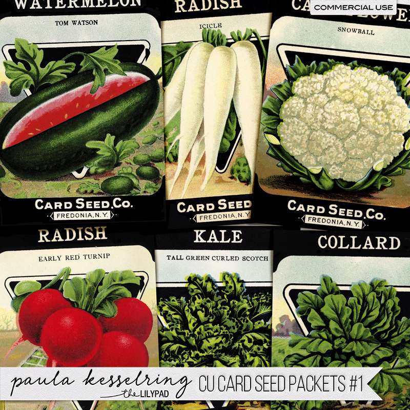 CU - Card Seed Packets #1