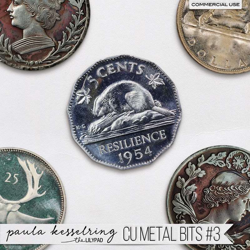 CU Metal Bits #3 - Image 3