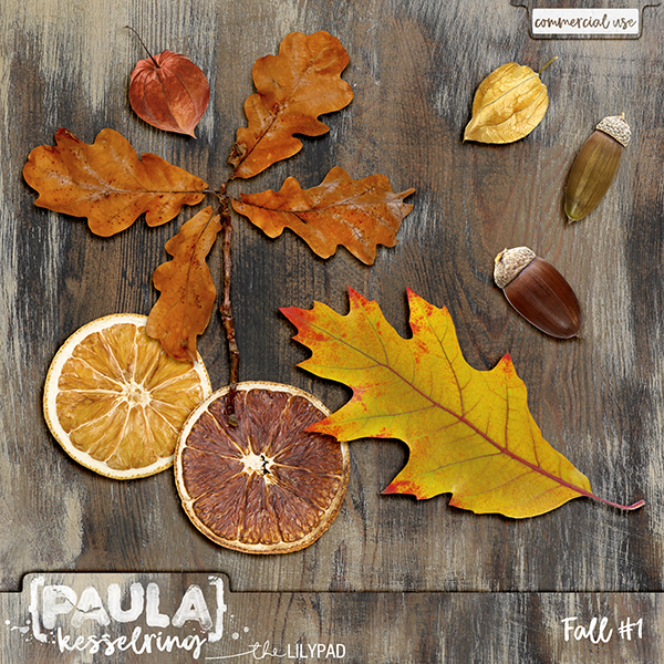 CU - Fall #1