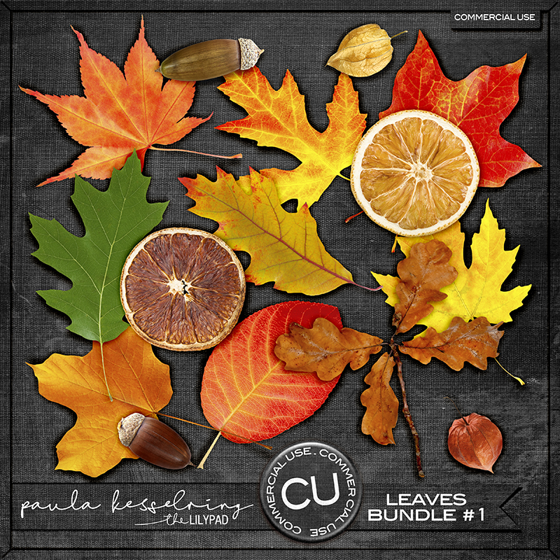 CU - Leaves Bundle #1