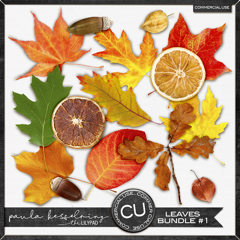 CU - Leaves Bundle #1 - Image 5