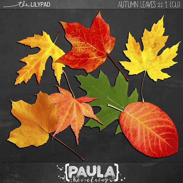 CU - Leaves Bundle #1 - Image 2