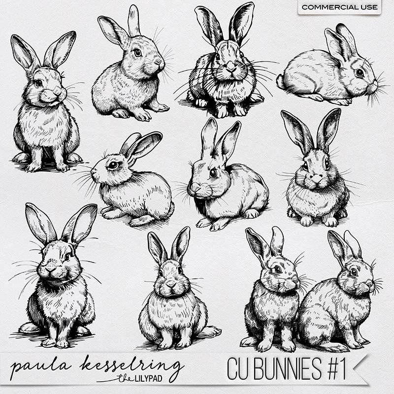 CU - Bunnies #1