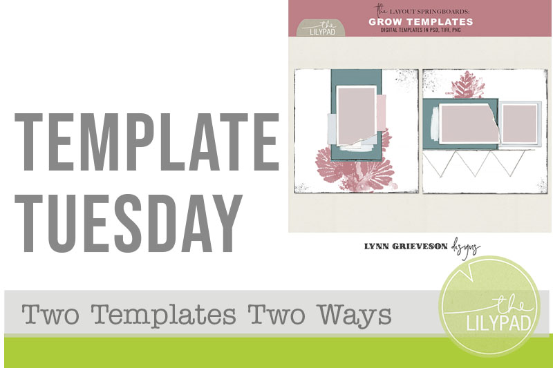 Template Tuesday blog graphic featuring a screenshot of a template set, with LilyPad branding.