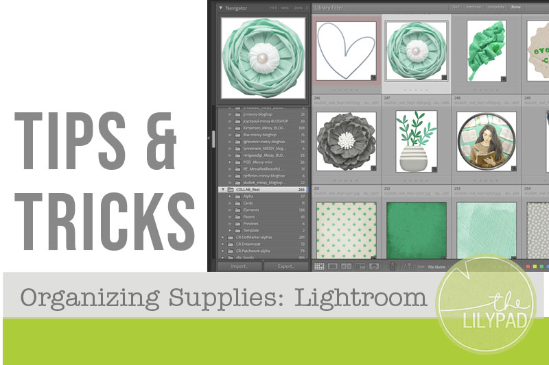 Tips & Tricks blog graphic featuring a screenshot of Adobe Lightroom organizing digital scrapbooking supplies, with LilyPad branding.