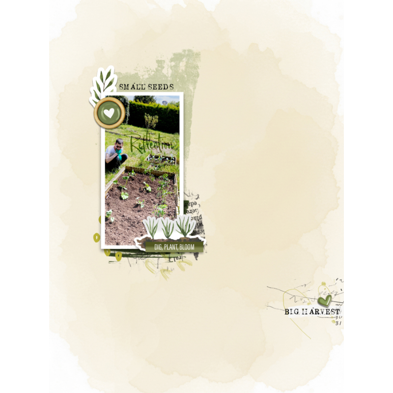 Planted Papers - Image 3