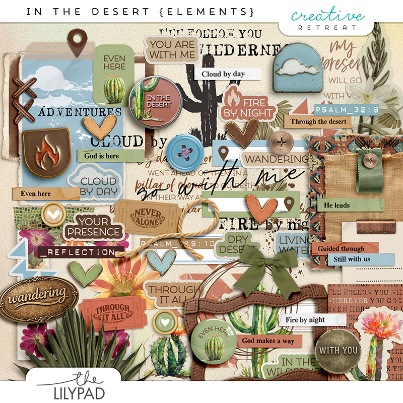 In The Desert Elements