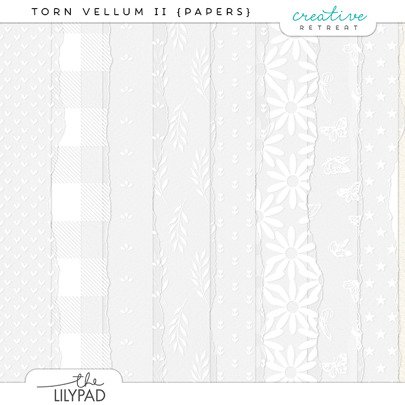 Torn Vellum II Papers
