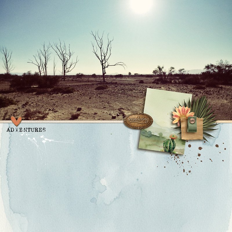 In The Desert Kit - Image 6