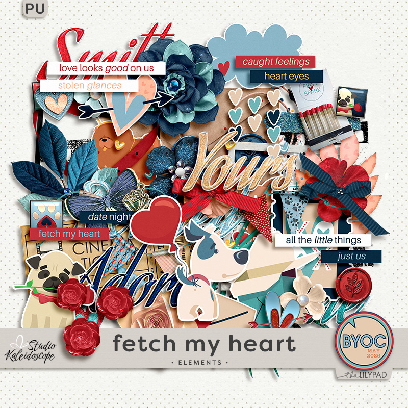 Fetch my Heart: Elements