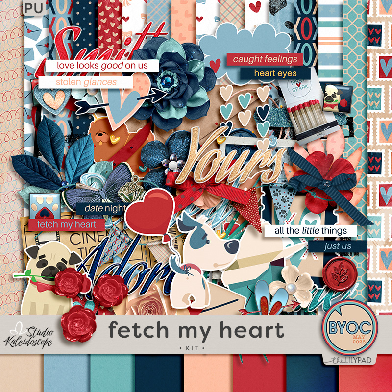 Fetch my Heart: Kit