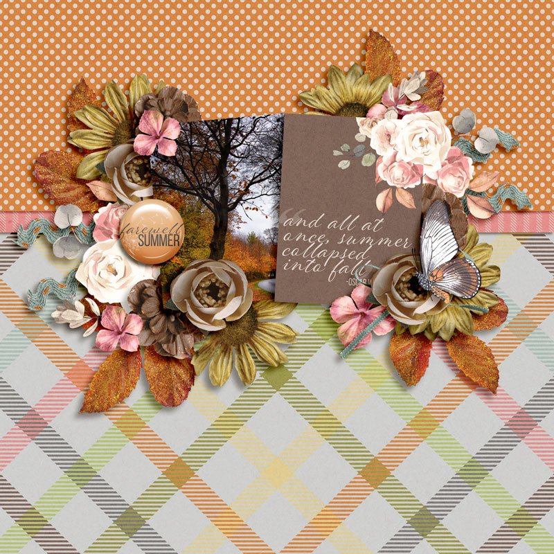 Suddenly it's Autumn: Bundle - Image 3