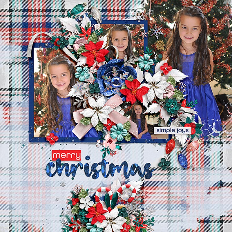 Festivus: Kit - Image 7