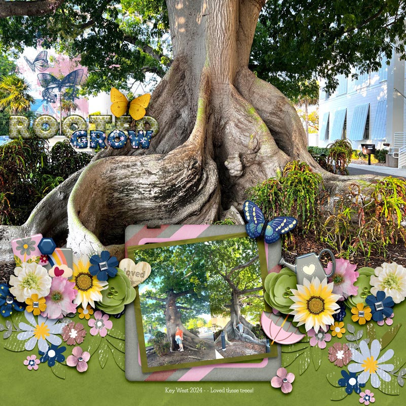 Simply Rooted: Kit - Image 9