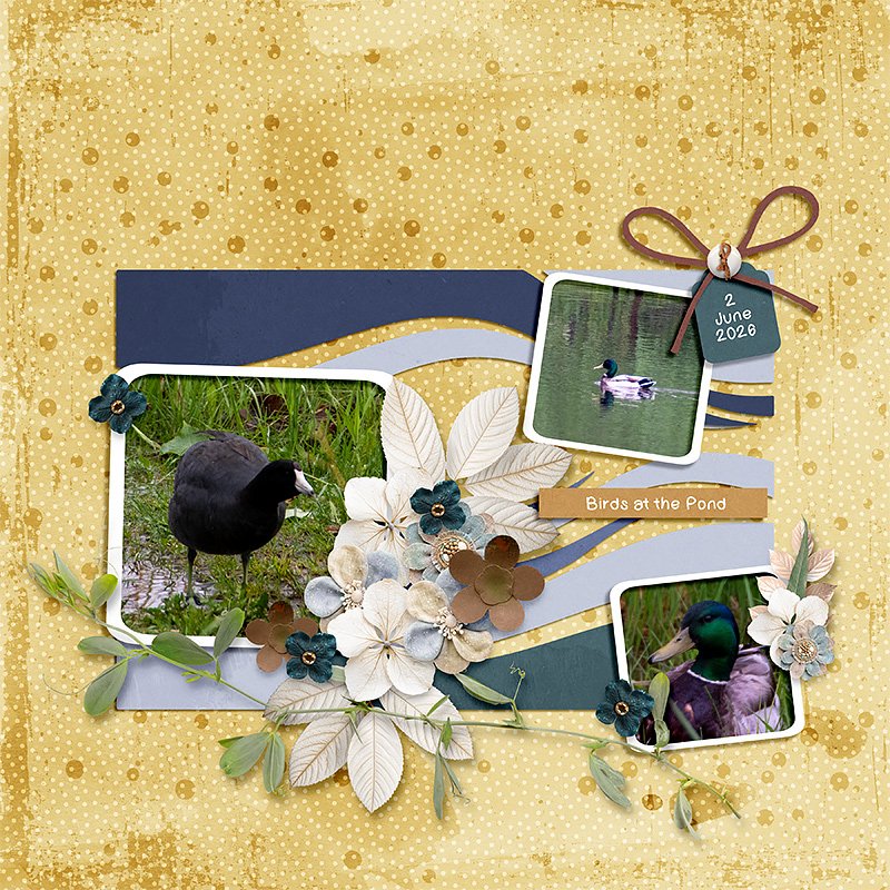 Saltwater Dreams: Kit - Image 16