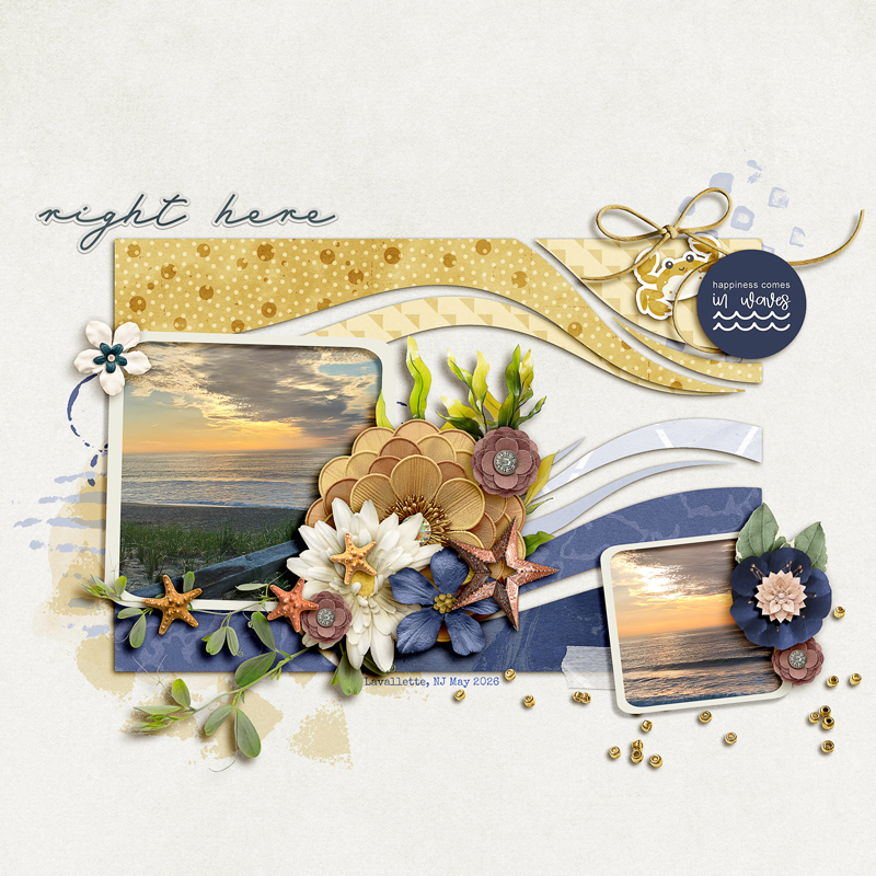 Saltwater Dreams: Kit - Image 15
