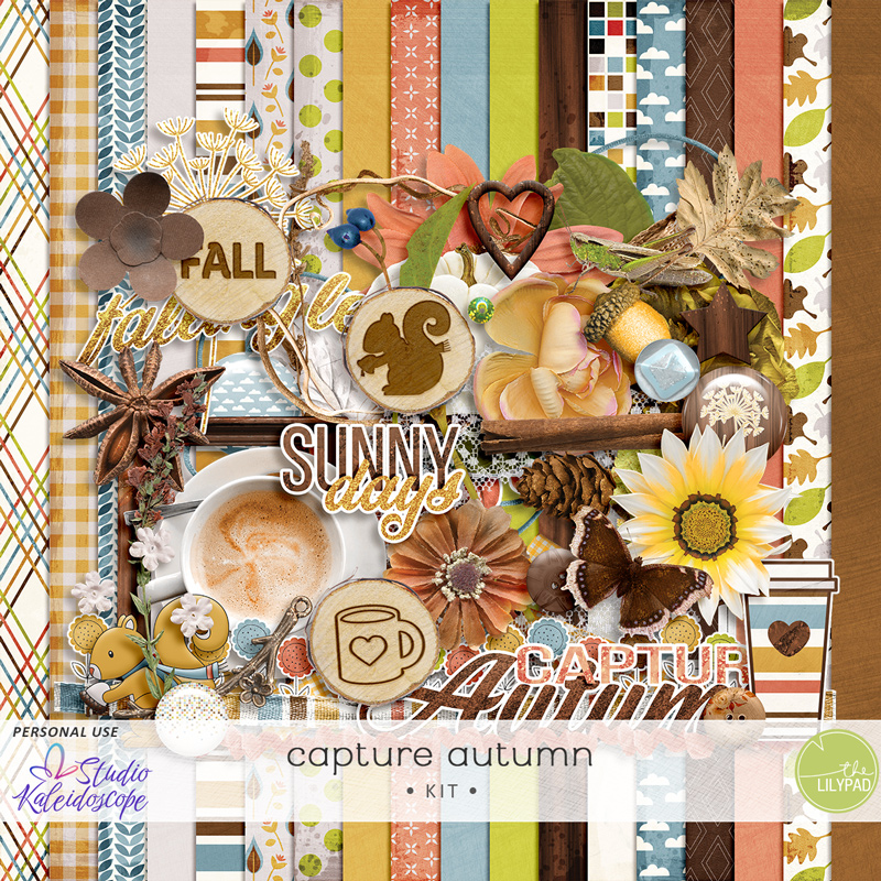 Capture Autumn: Kit