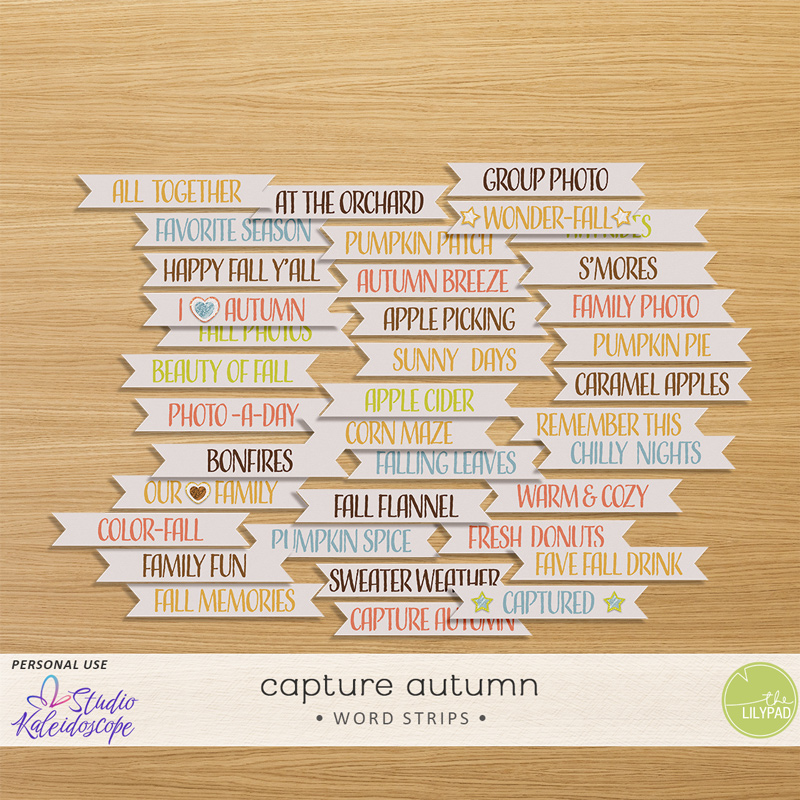 Capture Autumn: Word Strips