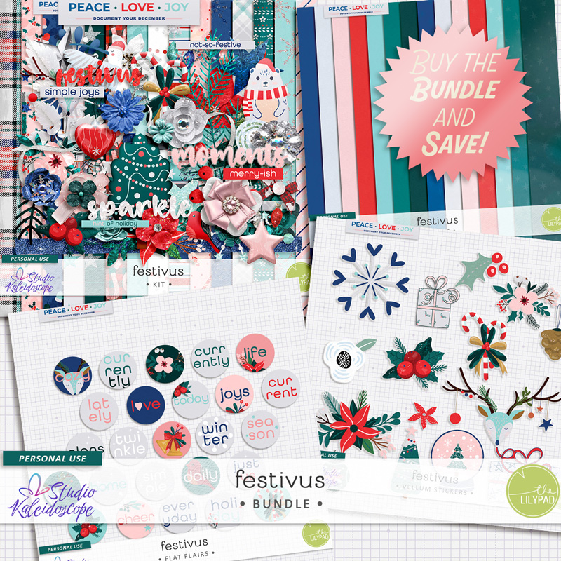 Festivus: Bundle