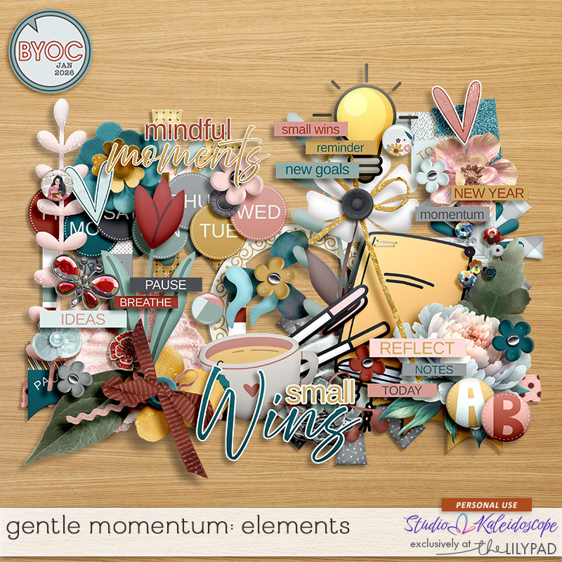Gentle Momentum: Elements