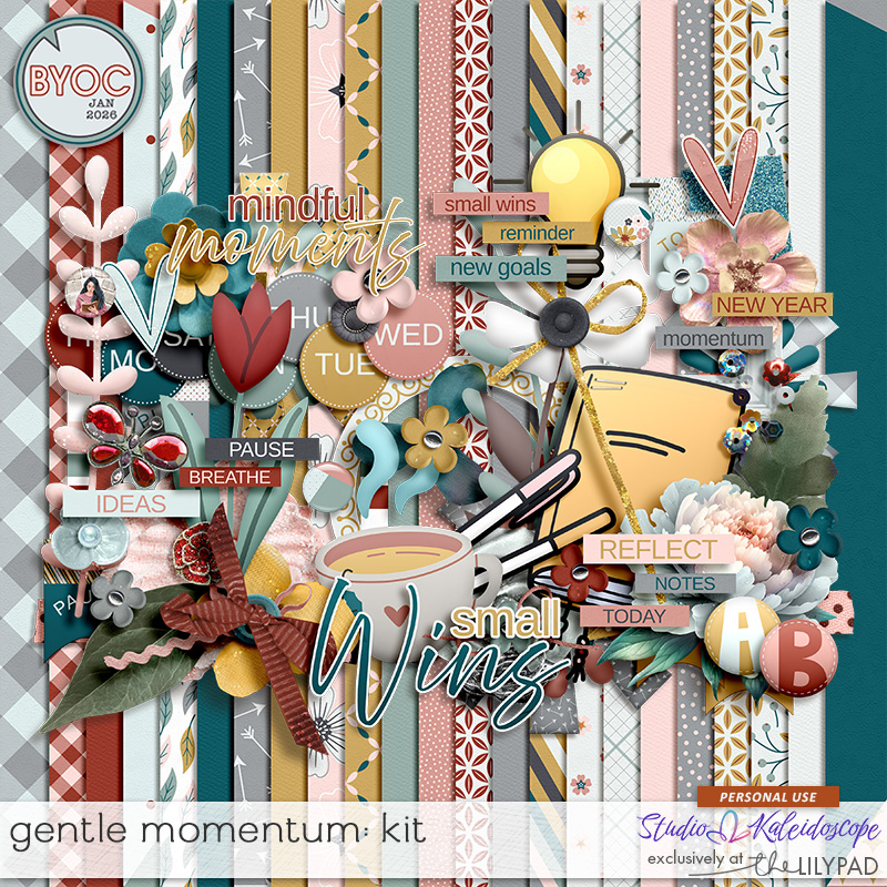 Gentle Momentum: Kit
