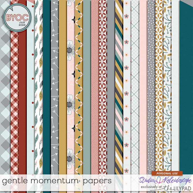 Gentle Momentum: Papers